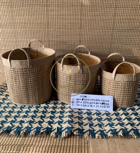 Chậu Đan Mây Mẫu 9