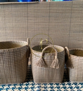 Chậu Đan Mây Mẫu 7