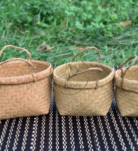 Chậu Đan Mây Mẫu 3