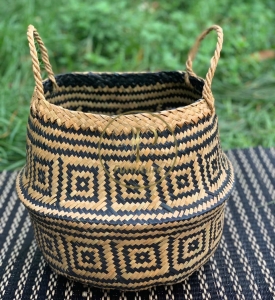 Chậu Đan Mây Mẫu 2
