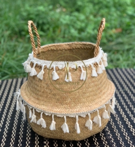 Chậu Đan Mây Mẫu 1