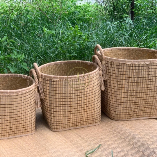 Chậu Đan Mây Mẫu 10