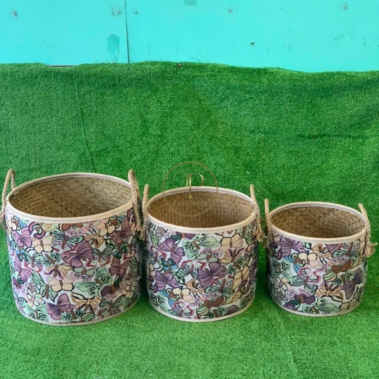 Chậu Đan Mây Mẫu 6