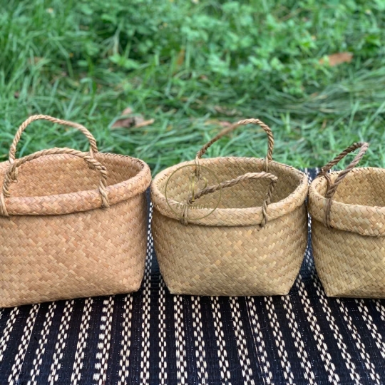Chậu Đan Mây Mẫu 3