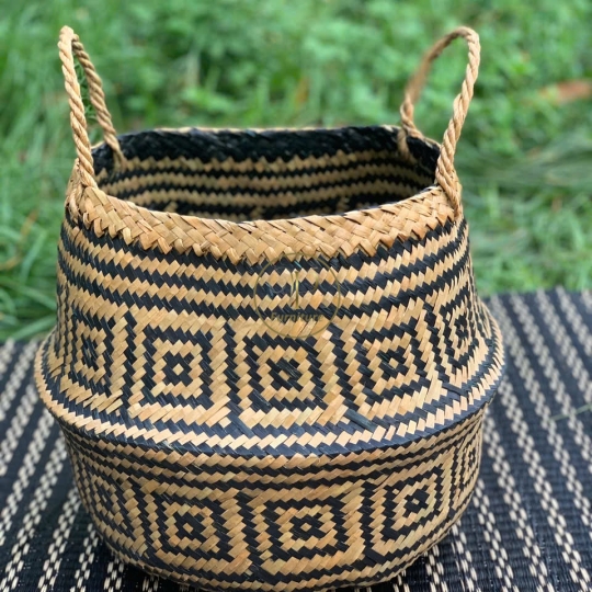 Chậu Đan Mây Mẫu 2