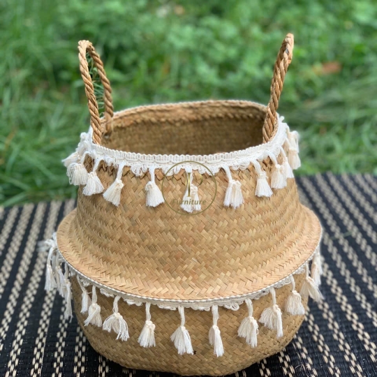 Chậu Đan Mây Mẫu 1