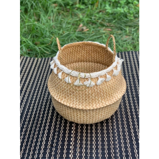 Chậu Đan Mây Mẫu 1