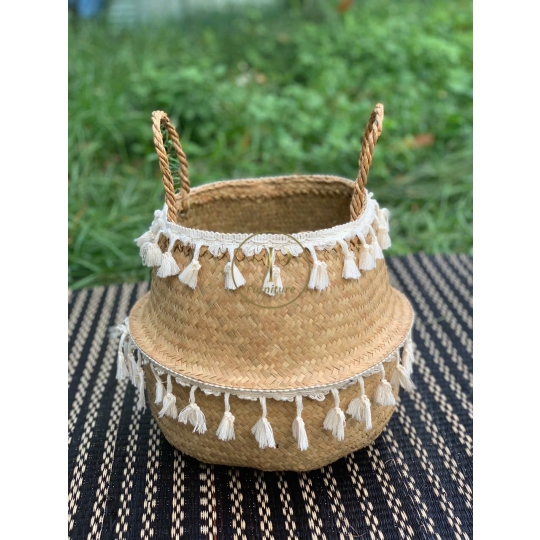 Chậu Đan Mây Mẫu 1